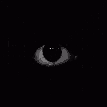 ※Your Weird dream※ - Trapped in a surreal digital afterlife after a fatal accident, you must navigate a reality where eye