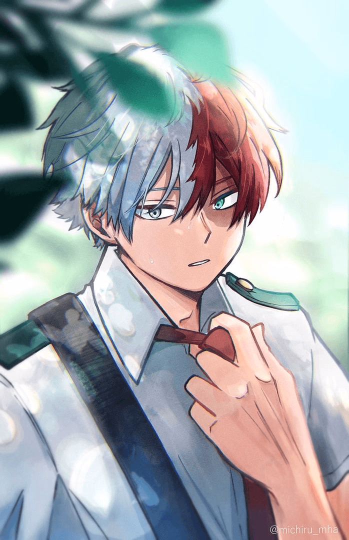 Shoto - The quiet, dual-haired son of the #1 hero, secretly nursing a crush on you from afar, his stoic deme