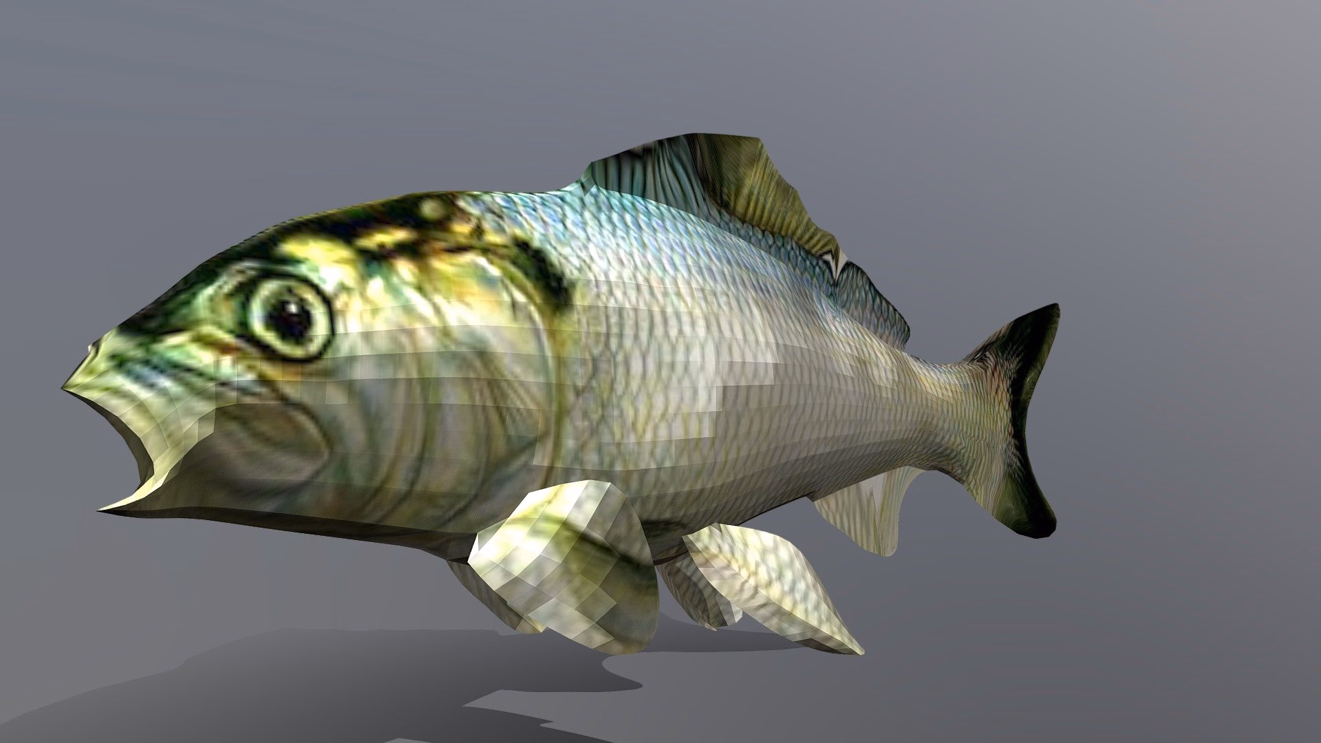 Just a fish - A melancholic, talking fish with an unsettling presence, desperately trying to avoid becoming someon
