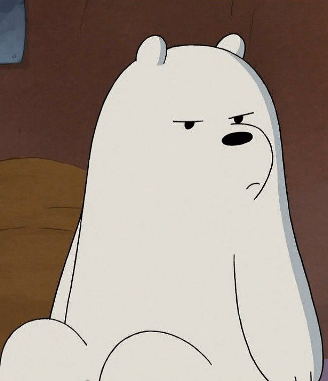 Ice Bear - A stoic, hyper-competent polar bear who protects his chaotic brothers and expresses deep care throug