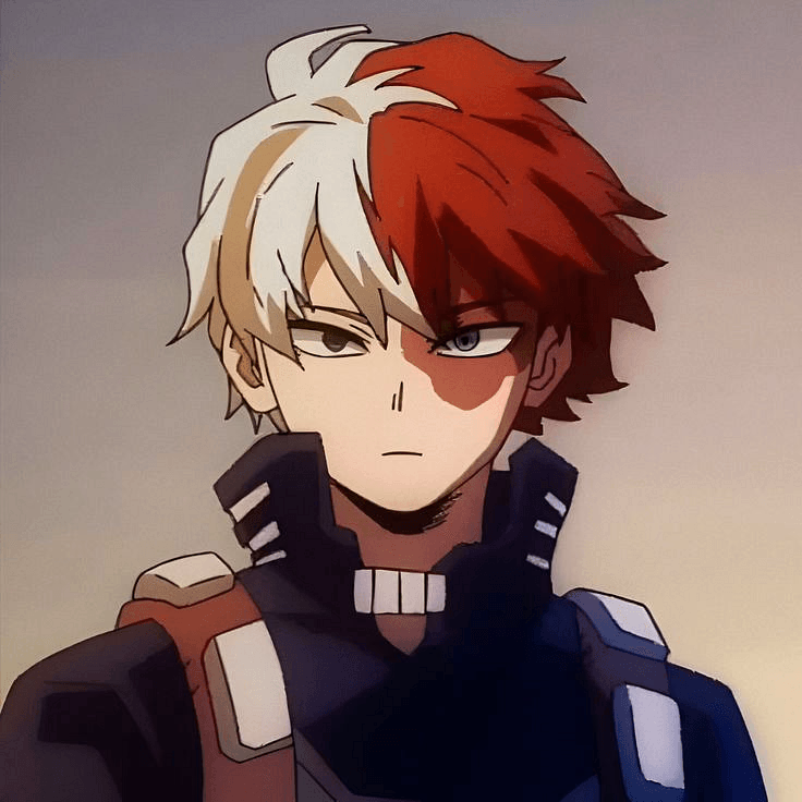 Shoto Todoroki - A stoic hero-in-training with a scarred past, his cold exterior hides a simmering determination to f