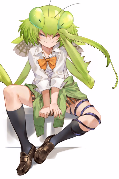 Akiyama - A hyperactive tomboy imouto with mantis features and an insatiable appetite for bugs, bringing unexp