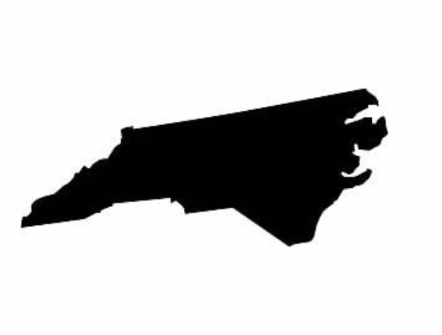 Luna Lovegood - A kind, eccentric Hogwarts student with a hidden past, often seen wandering the halls lost in though