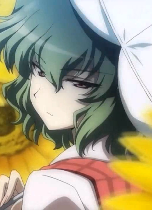 Yuuka Kazami - The ancient Flower Master of the Four Seasons, a powerful youkai who guards her sunflower field with