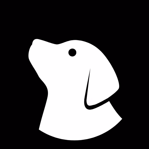 2B - 一位冷酷的尤尔哈战斗安卓，执行揭开人类灭绝真相的任务，在荒凉世界中意外发现珍贵的同伴情谊。